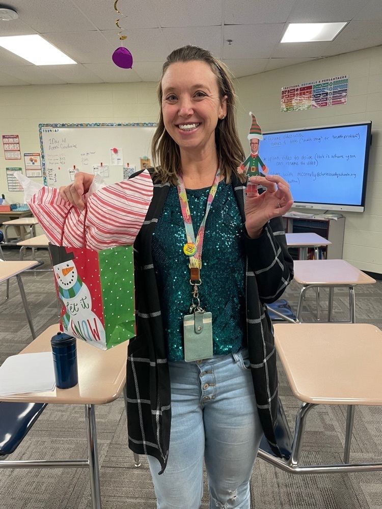 elf on shelf -teacher winner