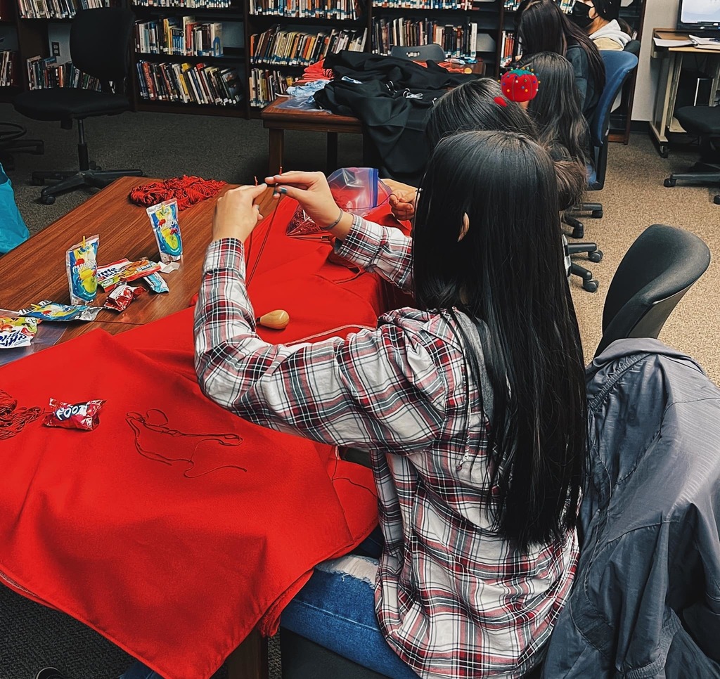 Lame Deer Public Schools