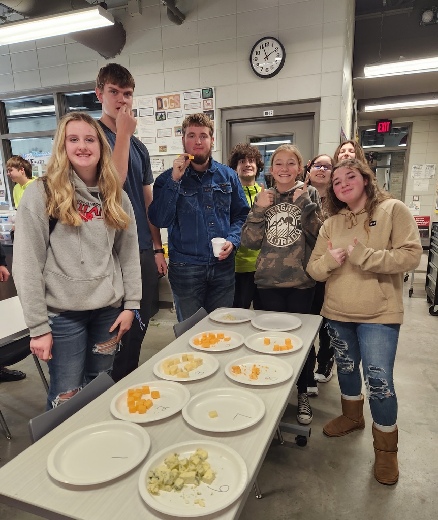 Cheese Tasting Lab