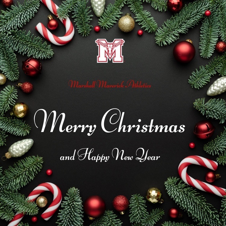 Merry Christmas and Happy New Year!