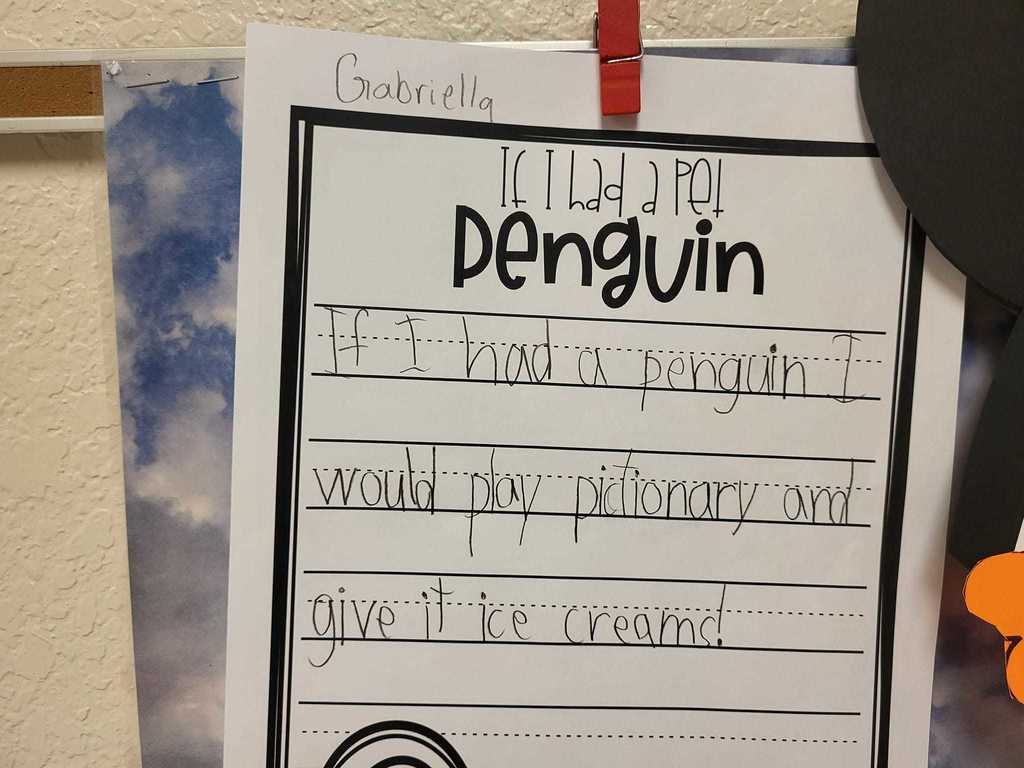 pet penguin