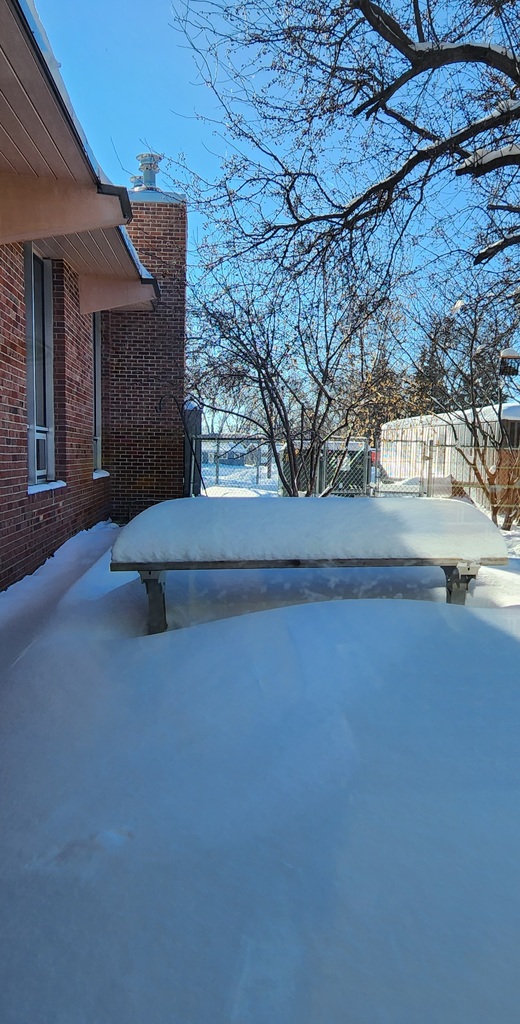 Snow2022