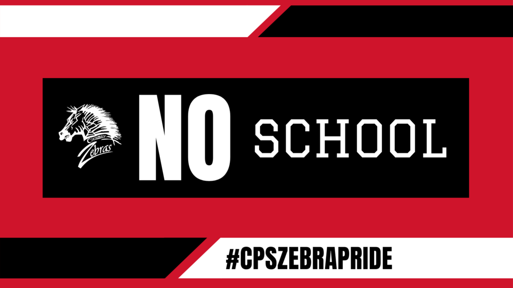 Zebra logo no school