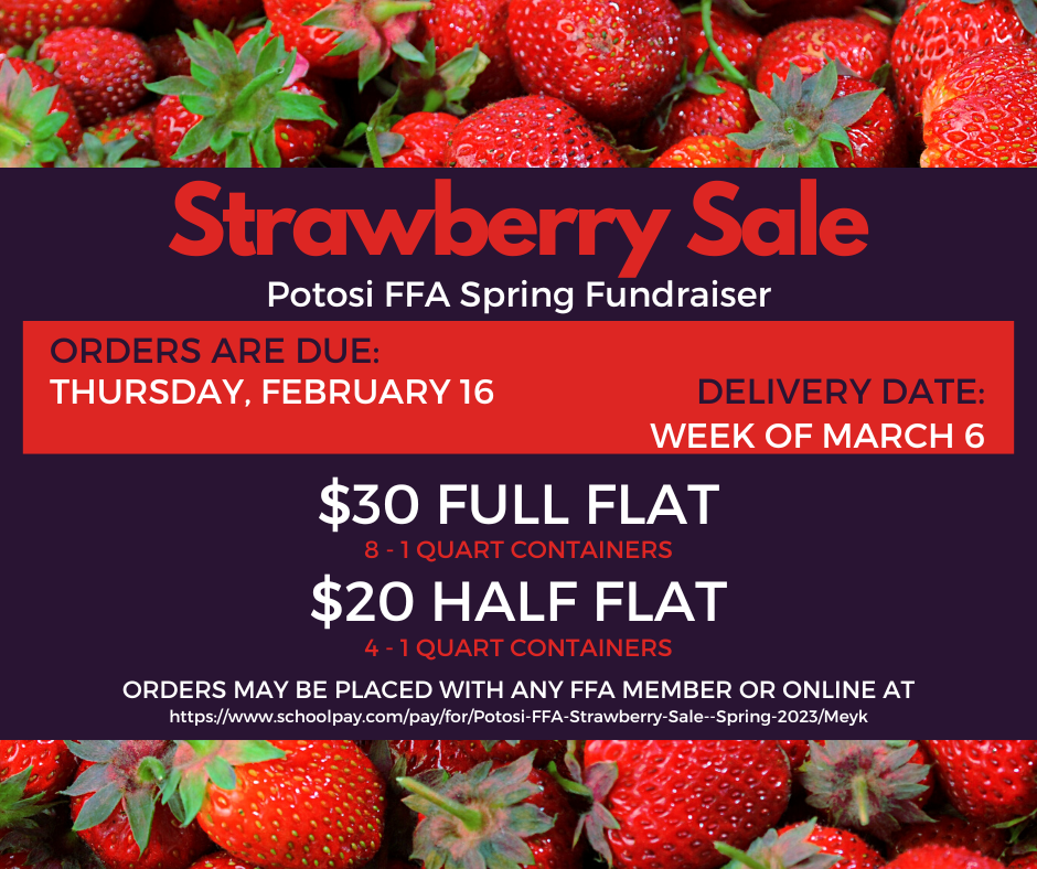 Strawberry Sale