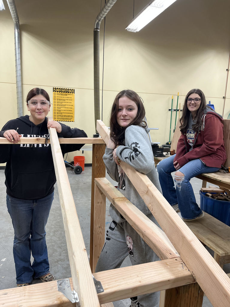 Chicken Coop Construction