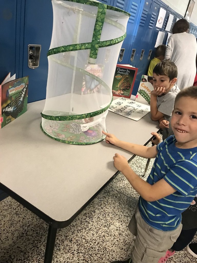 Summer School 2019 Showcase