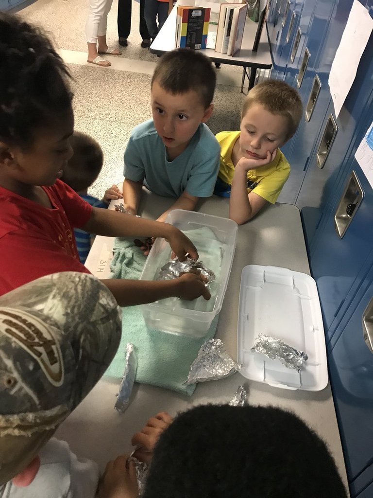 Summer School 2019 Showcase