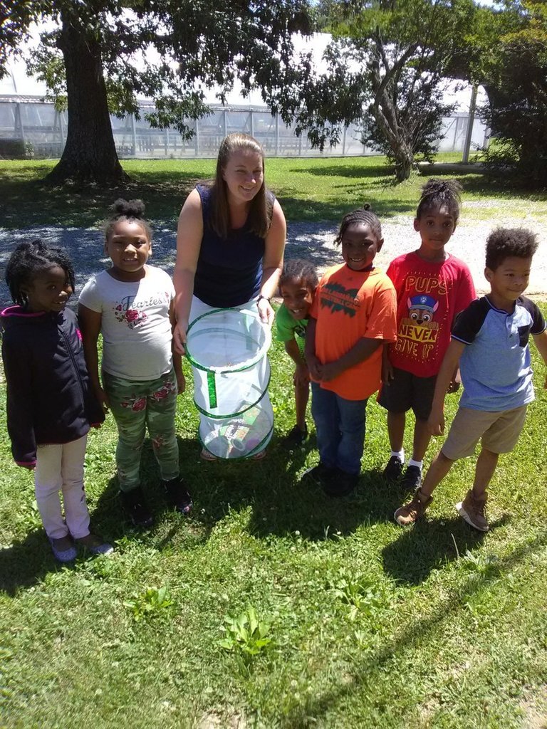 Summer School 2019 Showcase