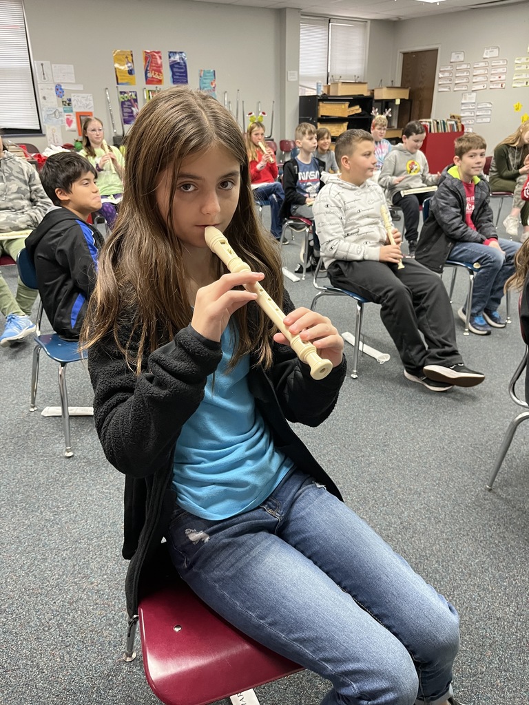 Musical Recorders in Music Class