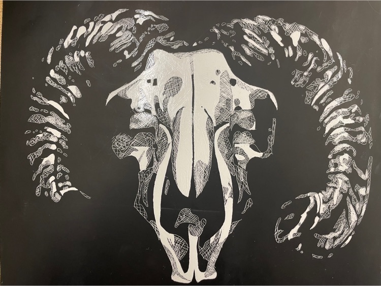 Skull