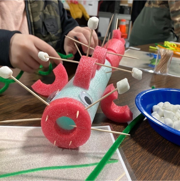 student noodle creature creation