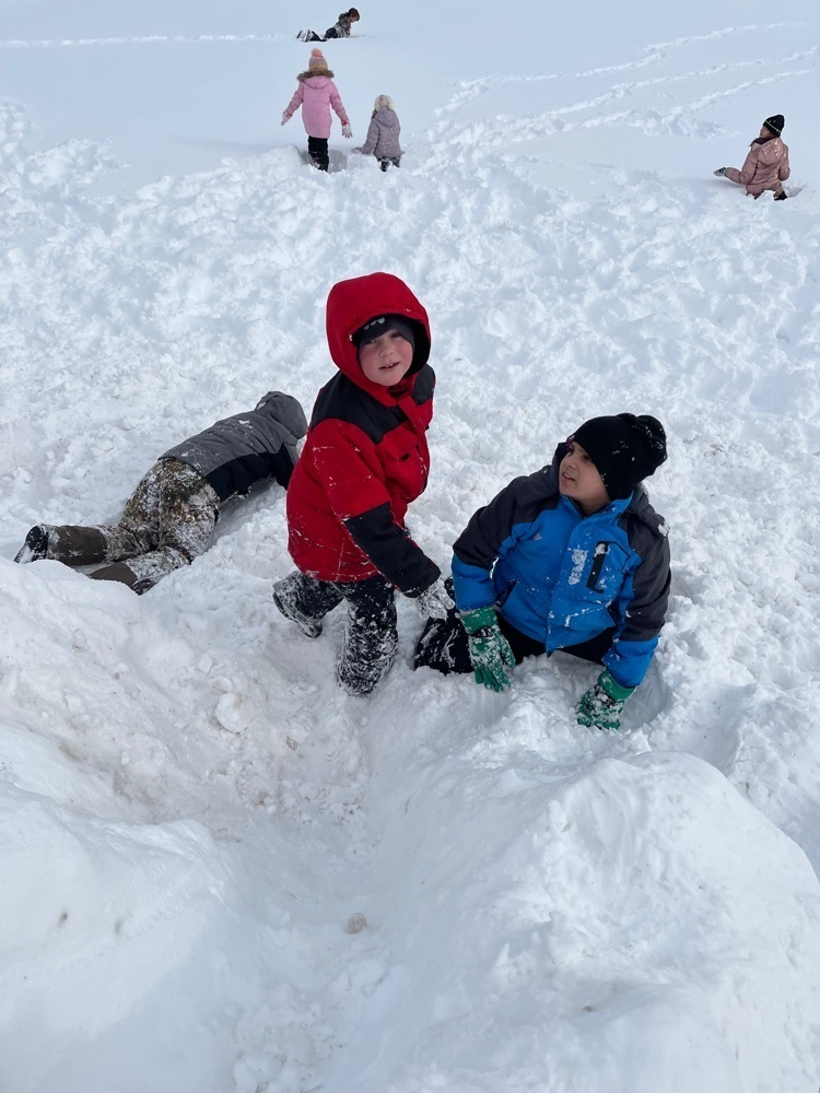 students playing in the snow