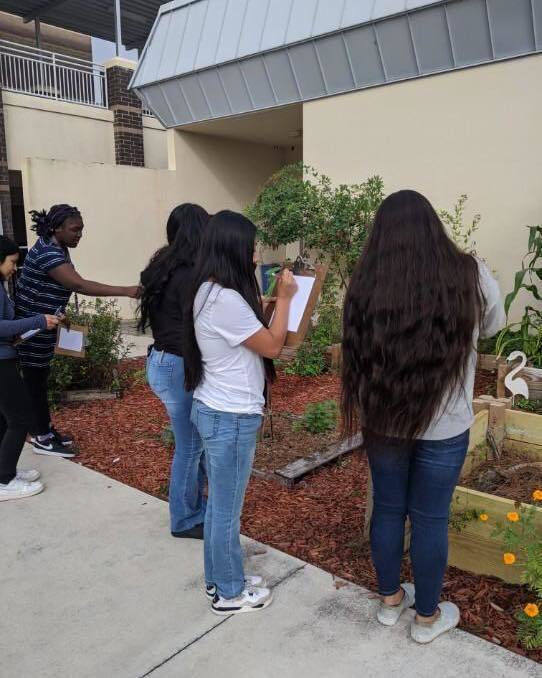 IMS STEM students write Haikus for Literacy Week