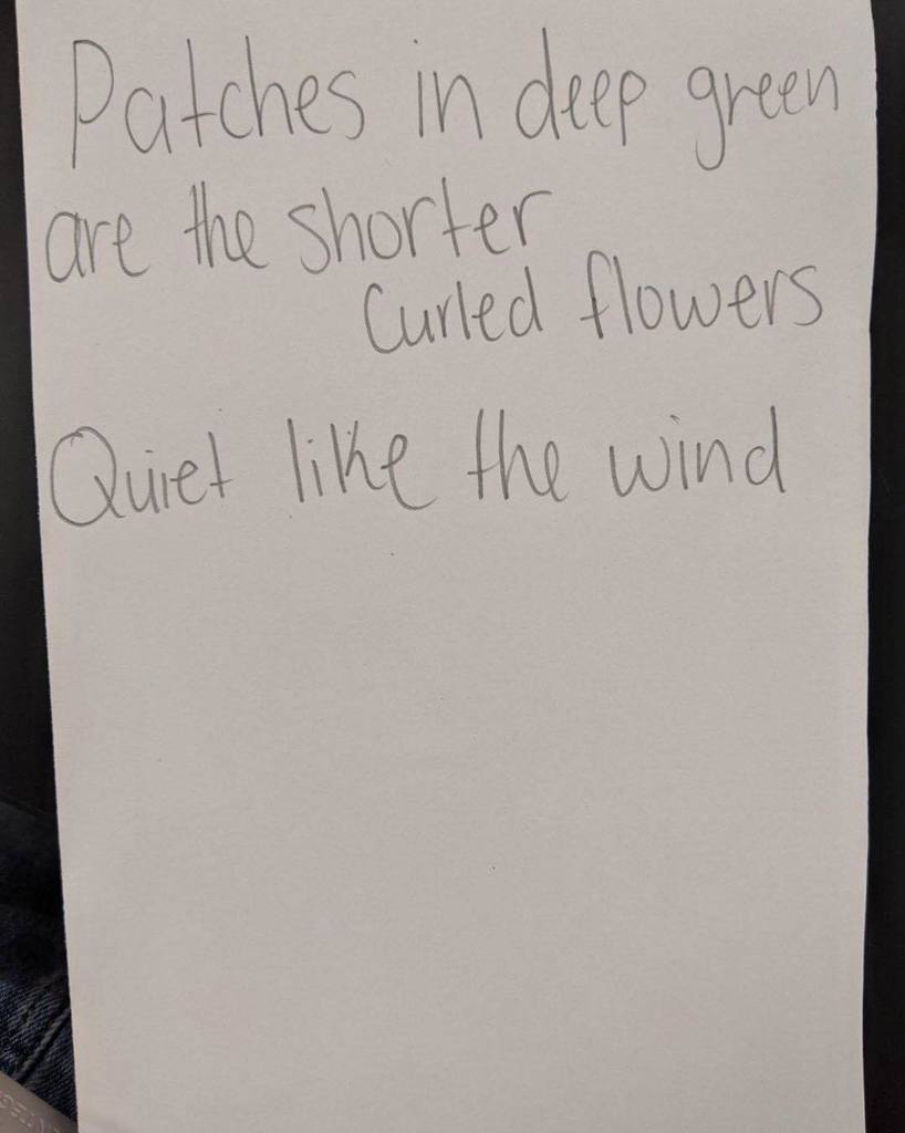 IMS STEM students write Haikus for Literacy Week