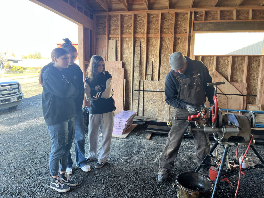 Field Investigation 2