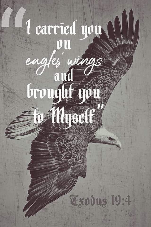 eagle