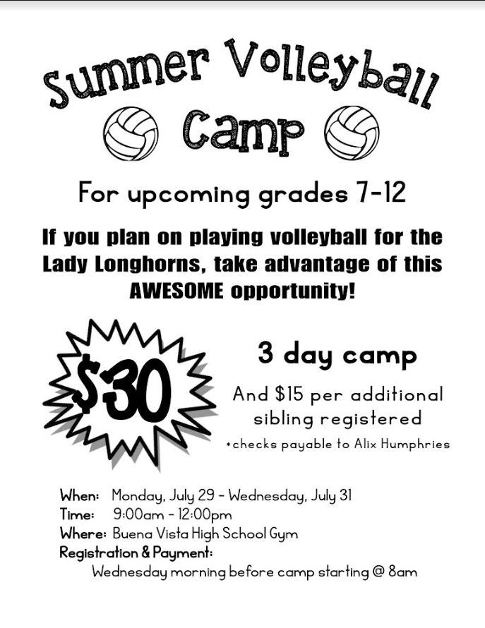 Volleyball Camp