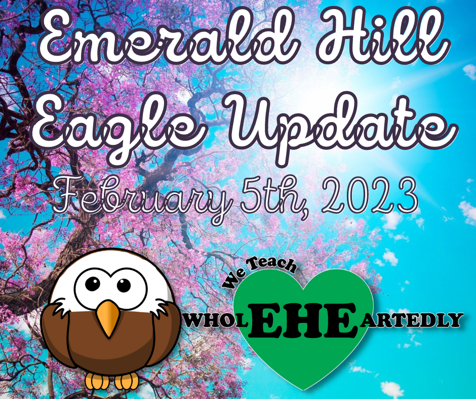 Emerald Hill Eagle Update Feb 5th 2023