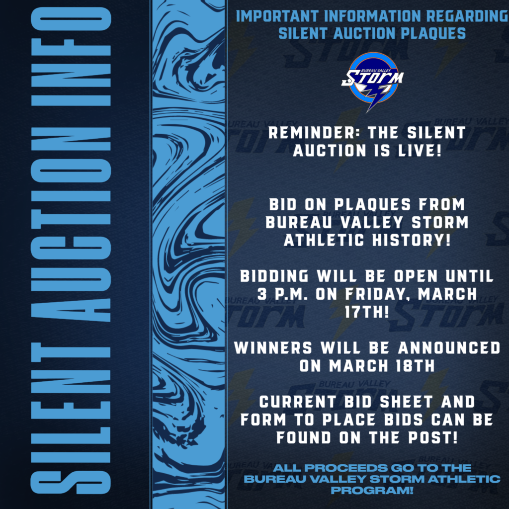 Silent Auction Information
