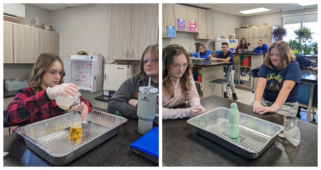 Elephant toothpaste 8th grade