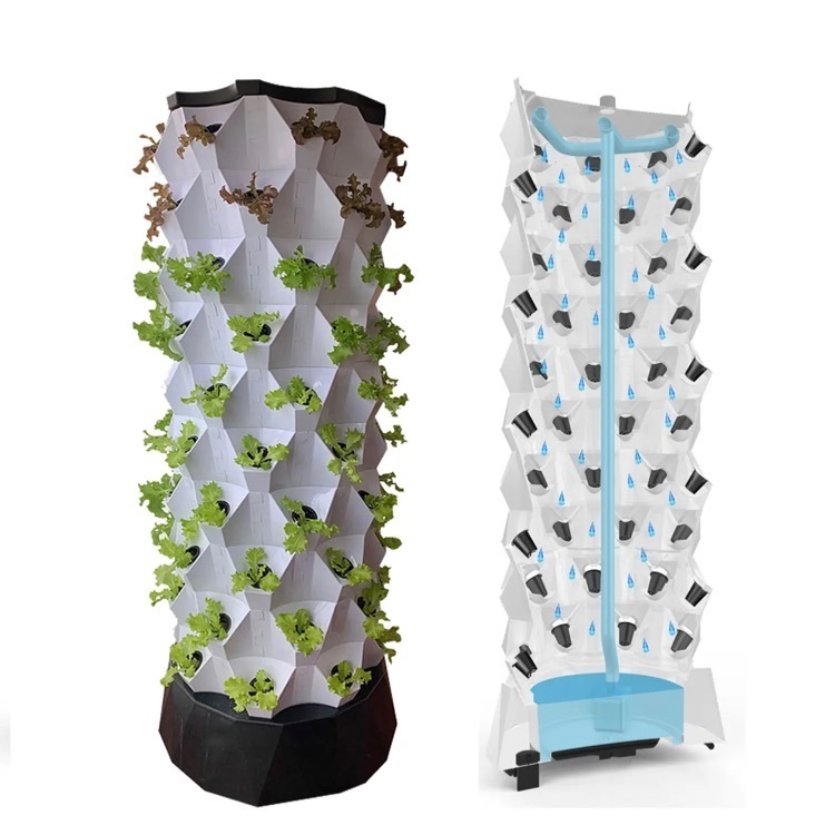 hydroponics 