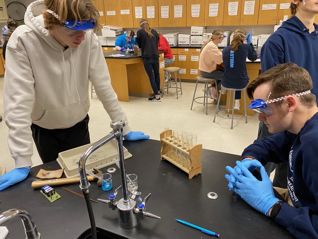 Metal, Non-Metal, or Metalloid Lab