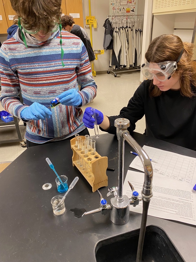 Metal, Non-Metal, or Metalloid Lab