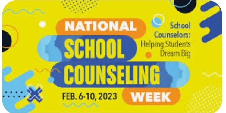 counselor