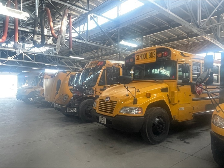 bus1