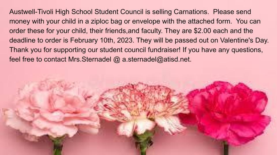 Stucco Carnation Sale 2023