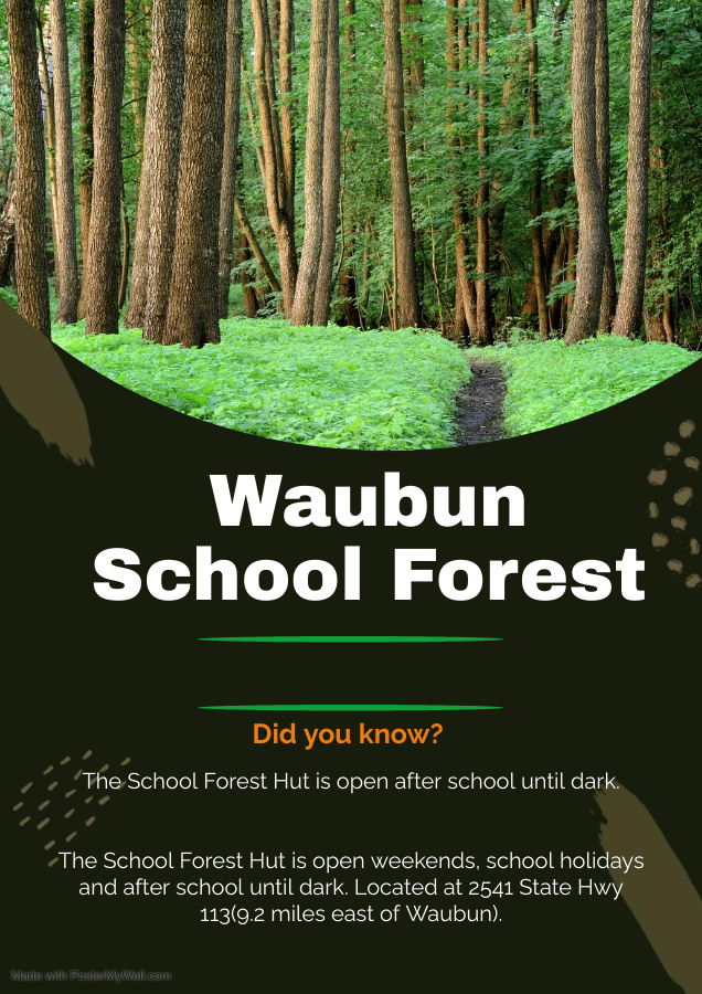 School Forest 