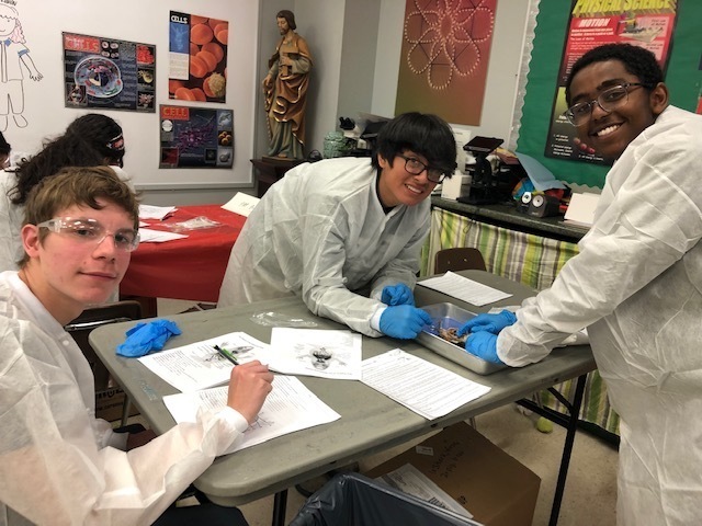 lab7