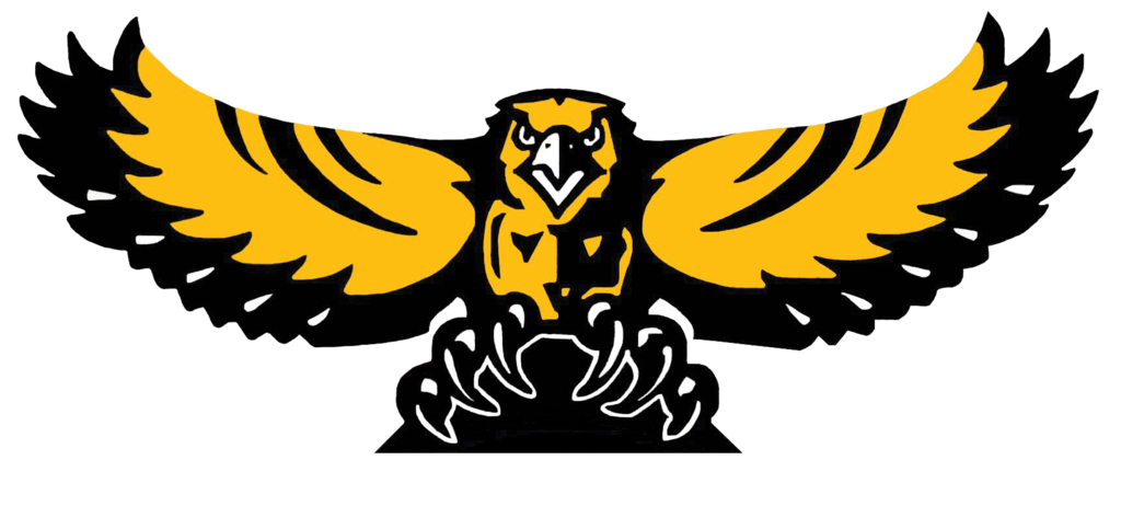 MP Hawk Logo