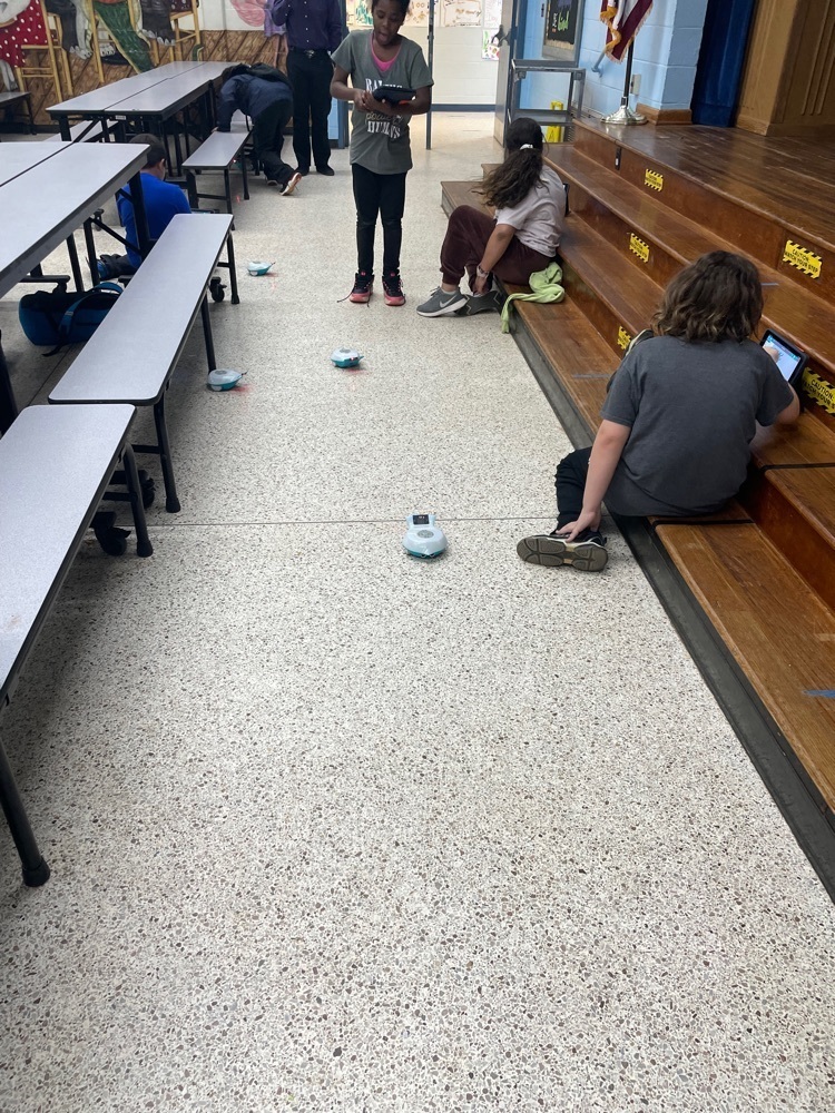finches coding