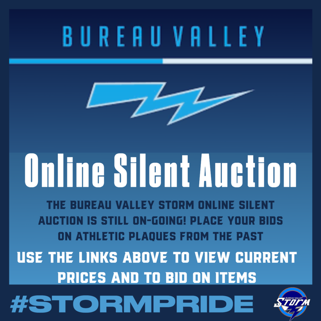 Silent Auction Information