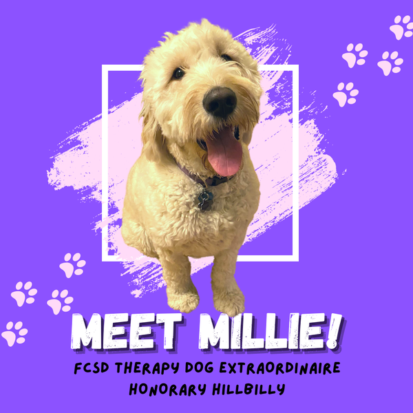 Meet Millie