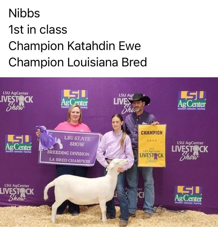 Brinley Saltzman