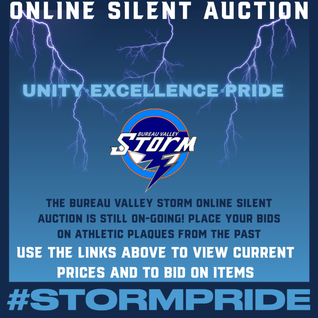 Silent Auction Information