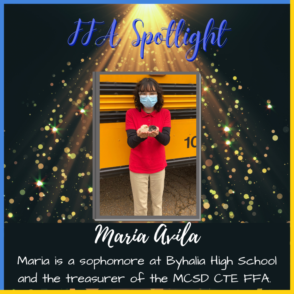 Maria Avila Spotlight