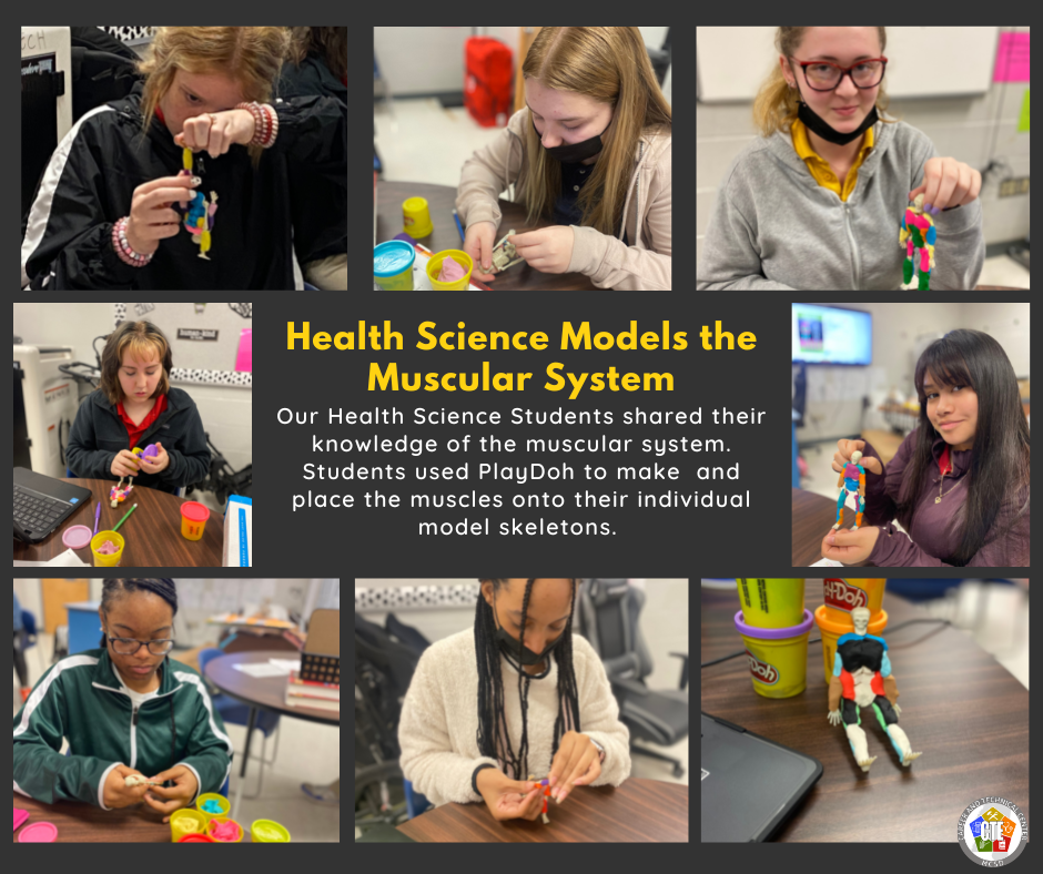 Health Science Students model the muscular system