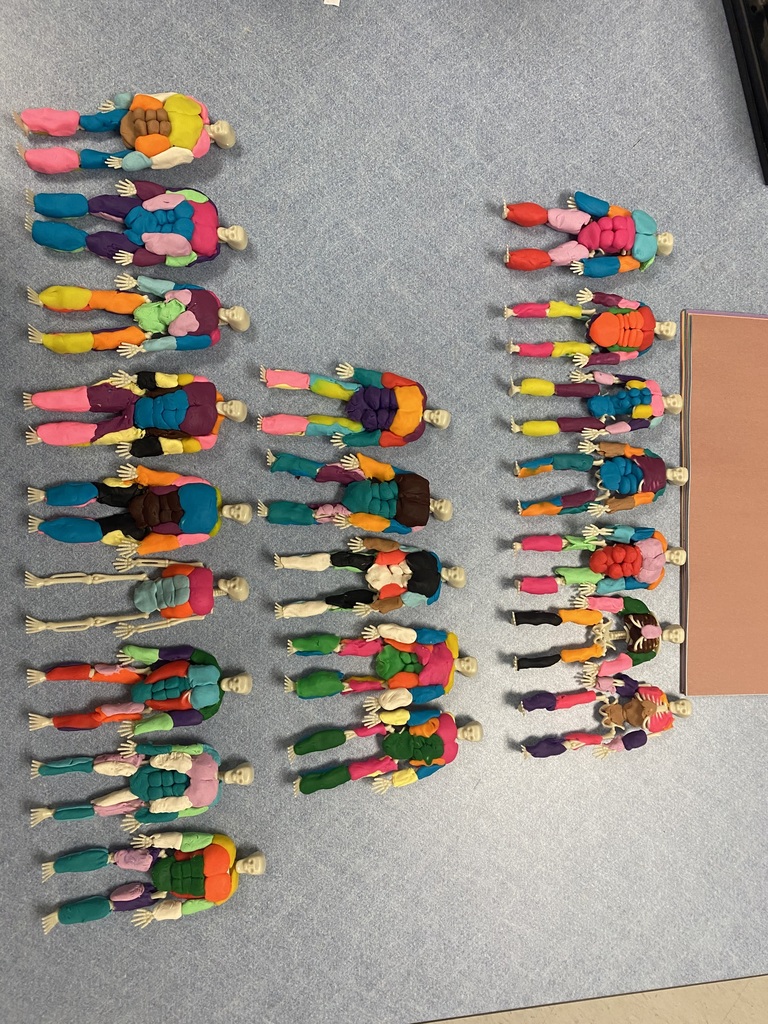 All Health Science students models pictured