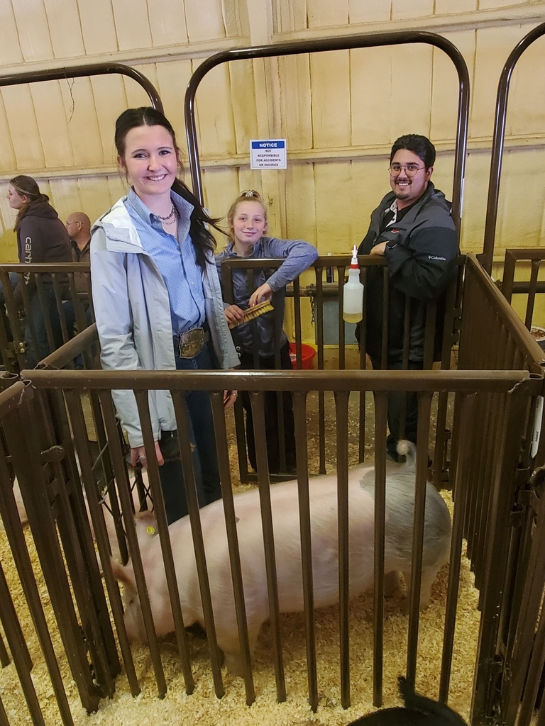 23 hog show 1