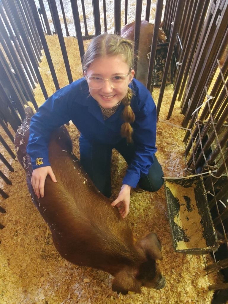 23 hog show 2