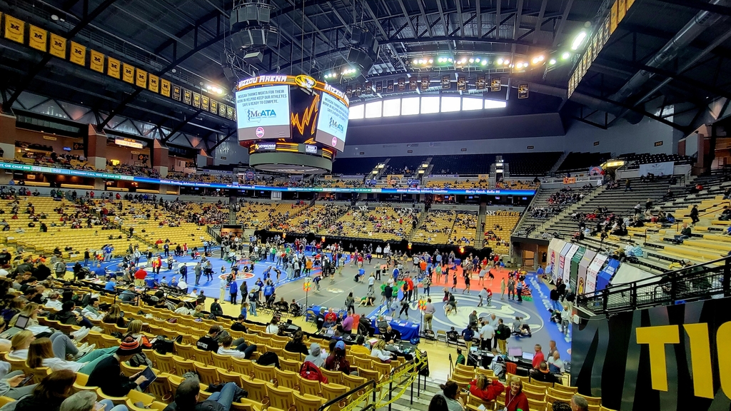 Wrestling