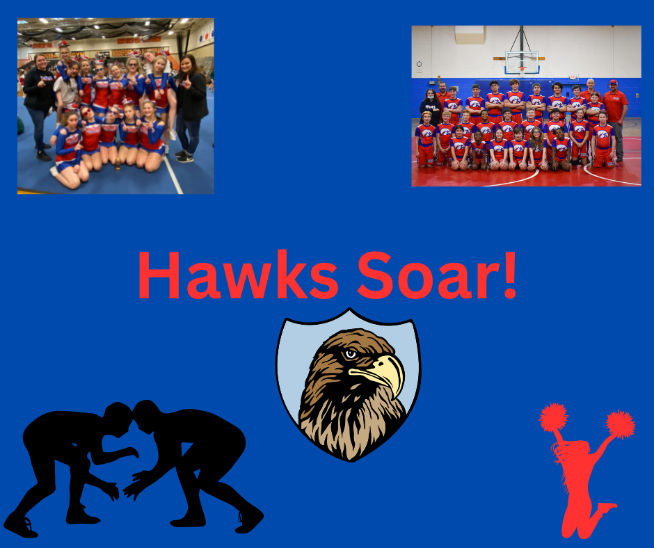 Hawks Soar