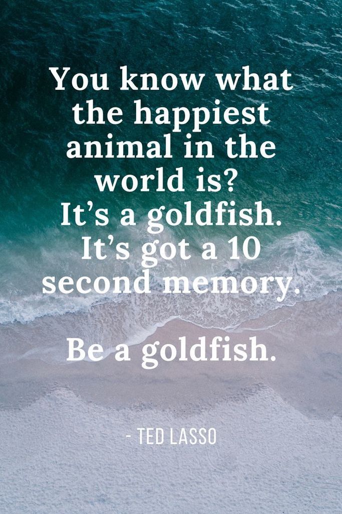goldfish