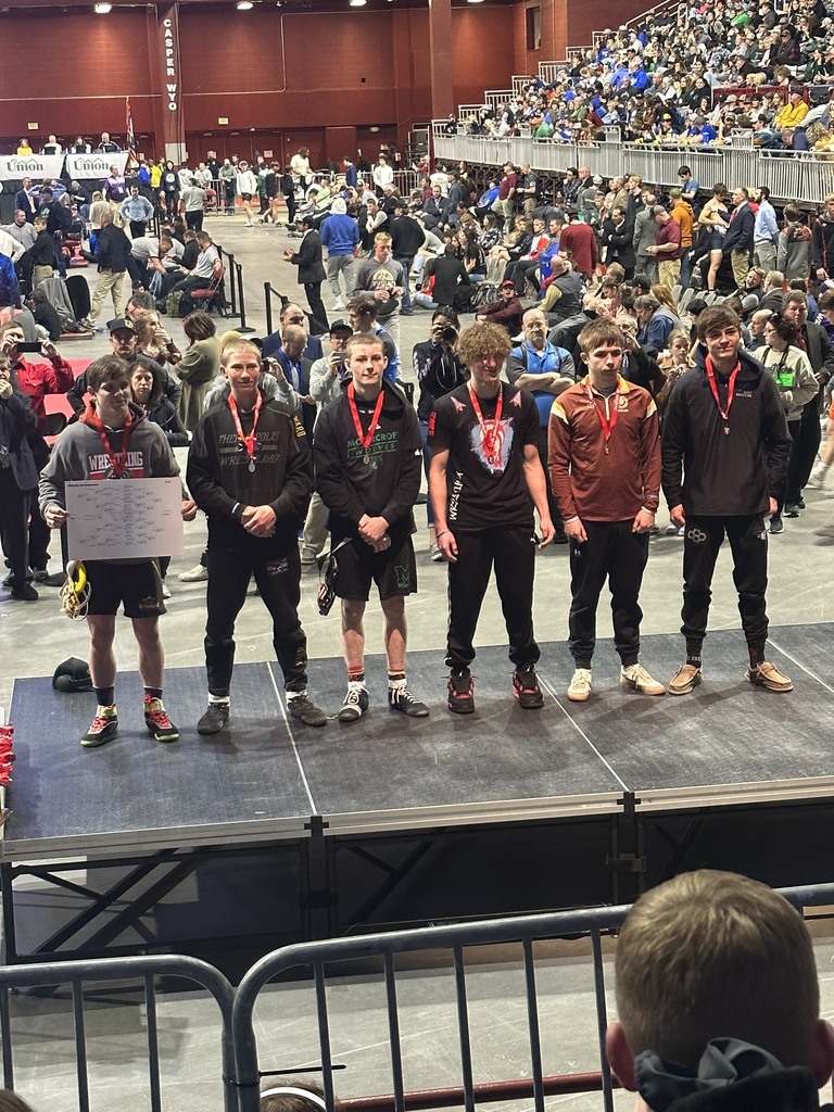 State Wrestling winners