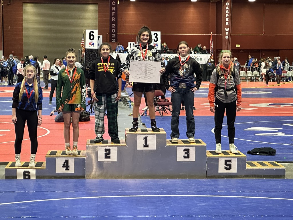 State Wrestling winners