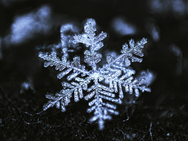 snow flake on black background