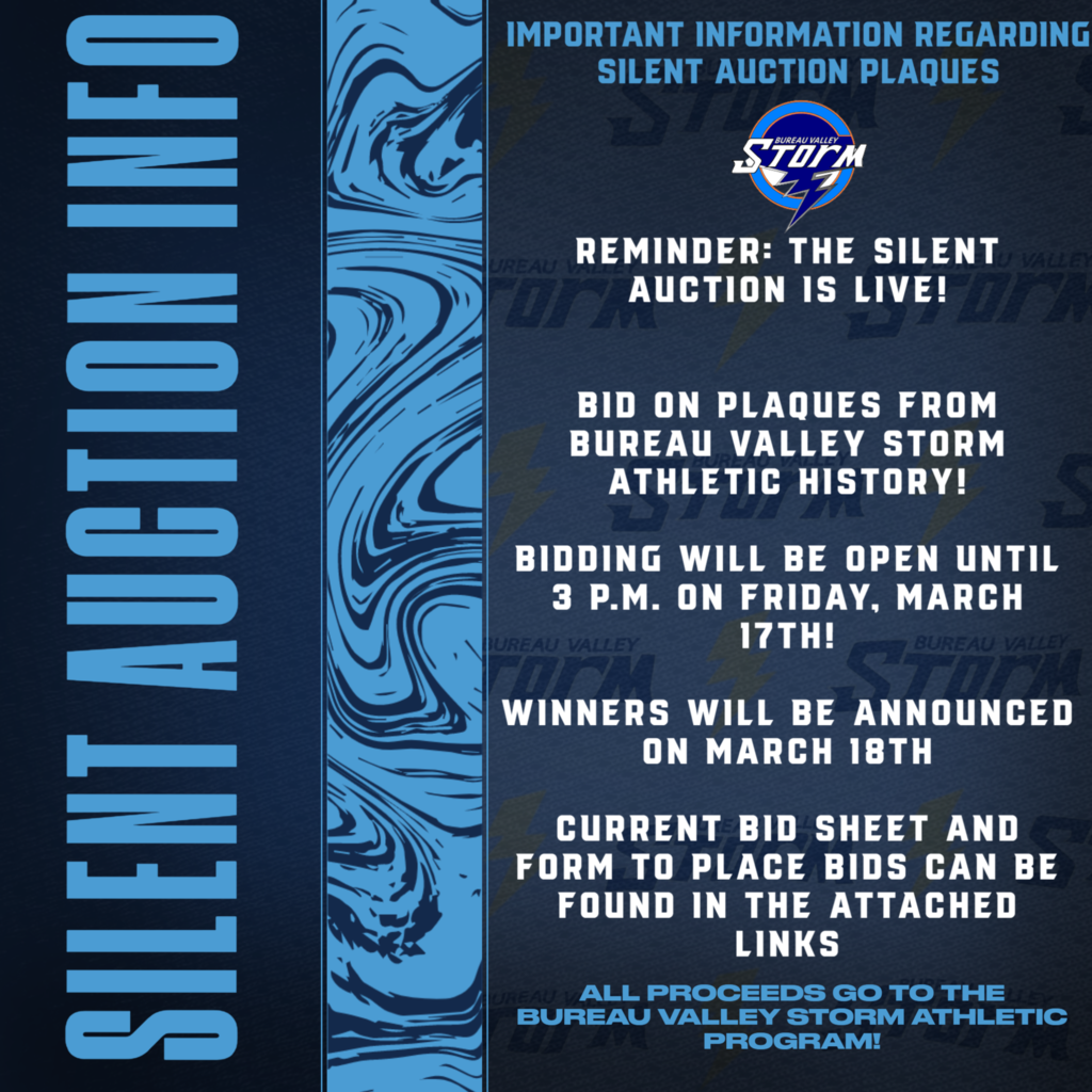 Online Silent Auction